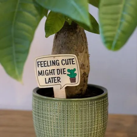 Idyllisches Wohnen In Gruener Oase 公寓 格里斯海姆